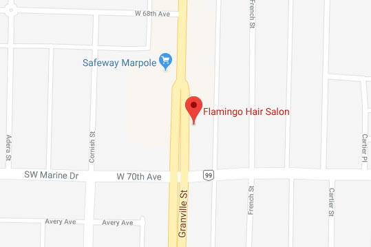 Google map image